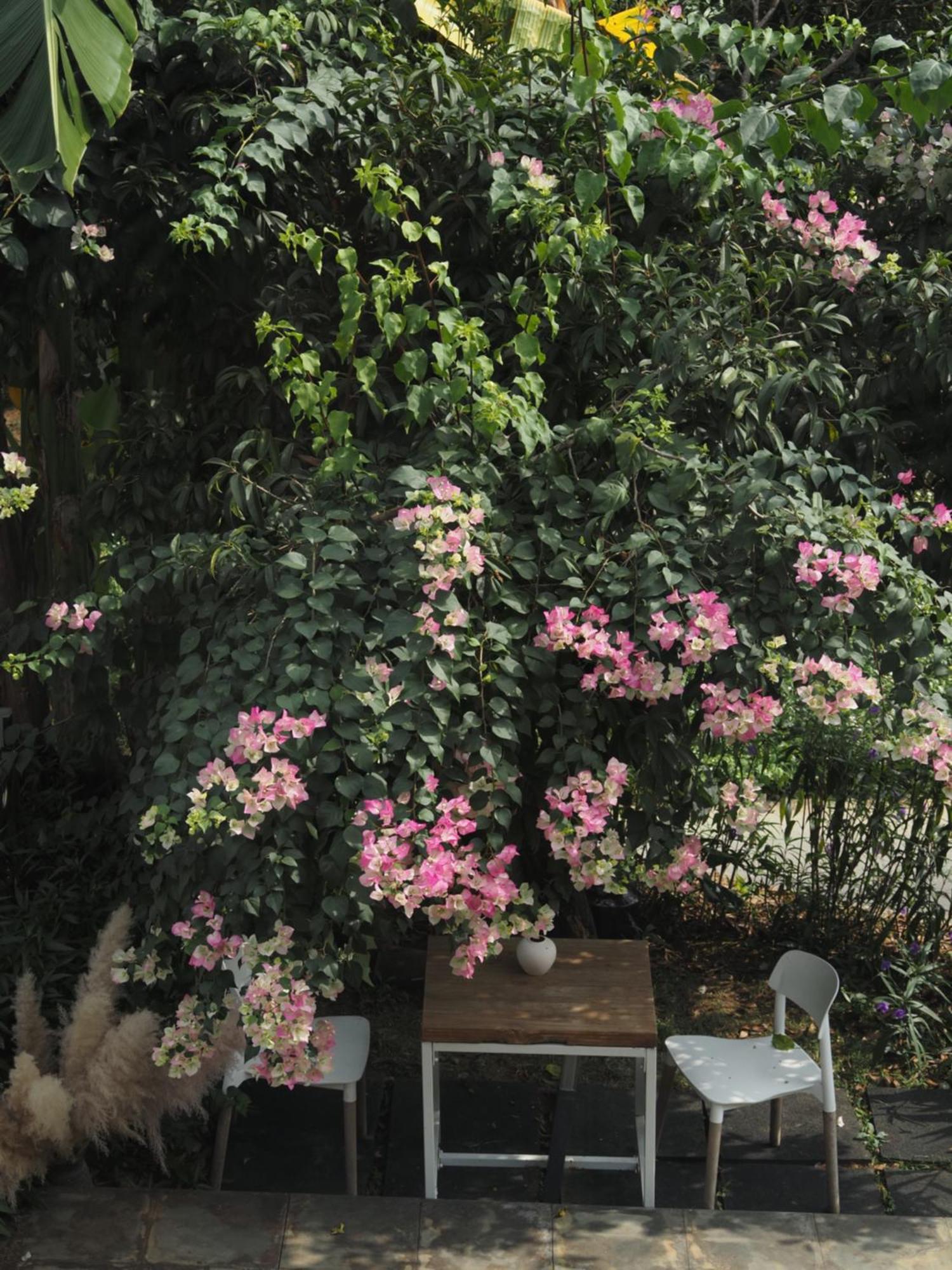 Yangshuo Hillside Homestay Екстер'єр фото