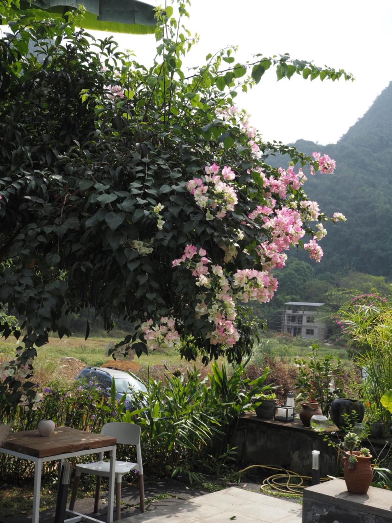 Yangshuo Hillside Homestay Екстер'єр фото