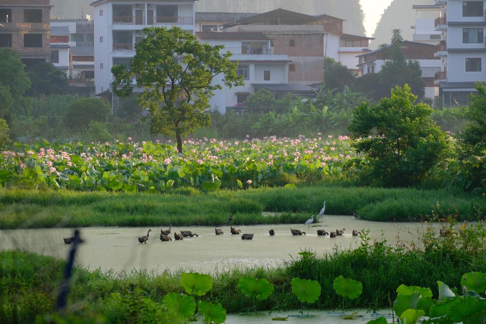 Yangshuo Hillside Homestay Екстер'єр фото
