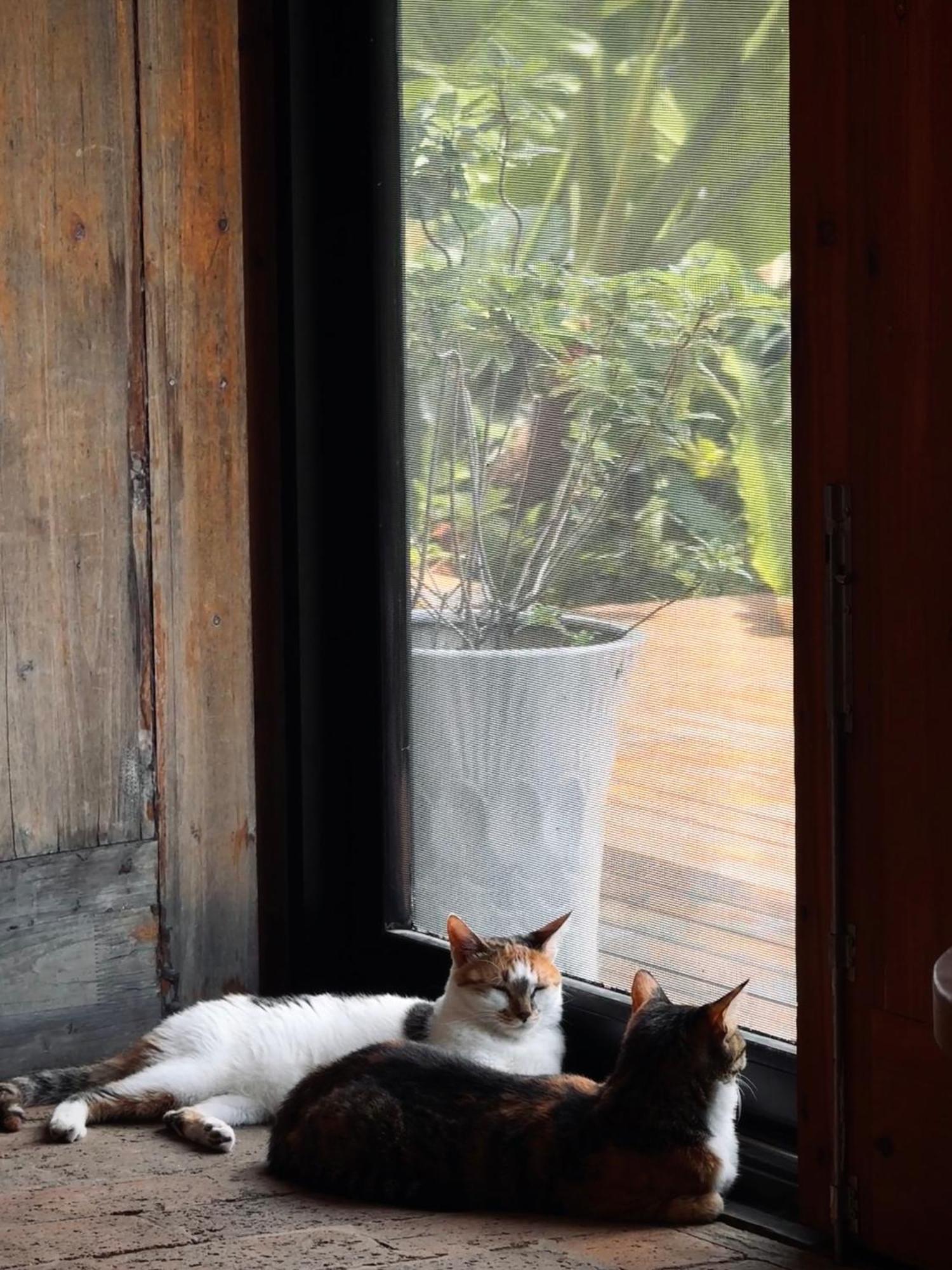 Yangshuo Hillside Homestay Екстер'єр фото