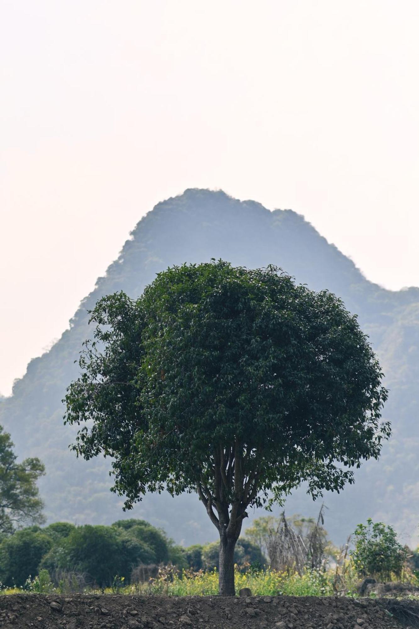 Yangshuo Hillside Homestay Екстер'єр фото