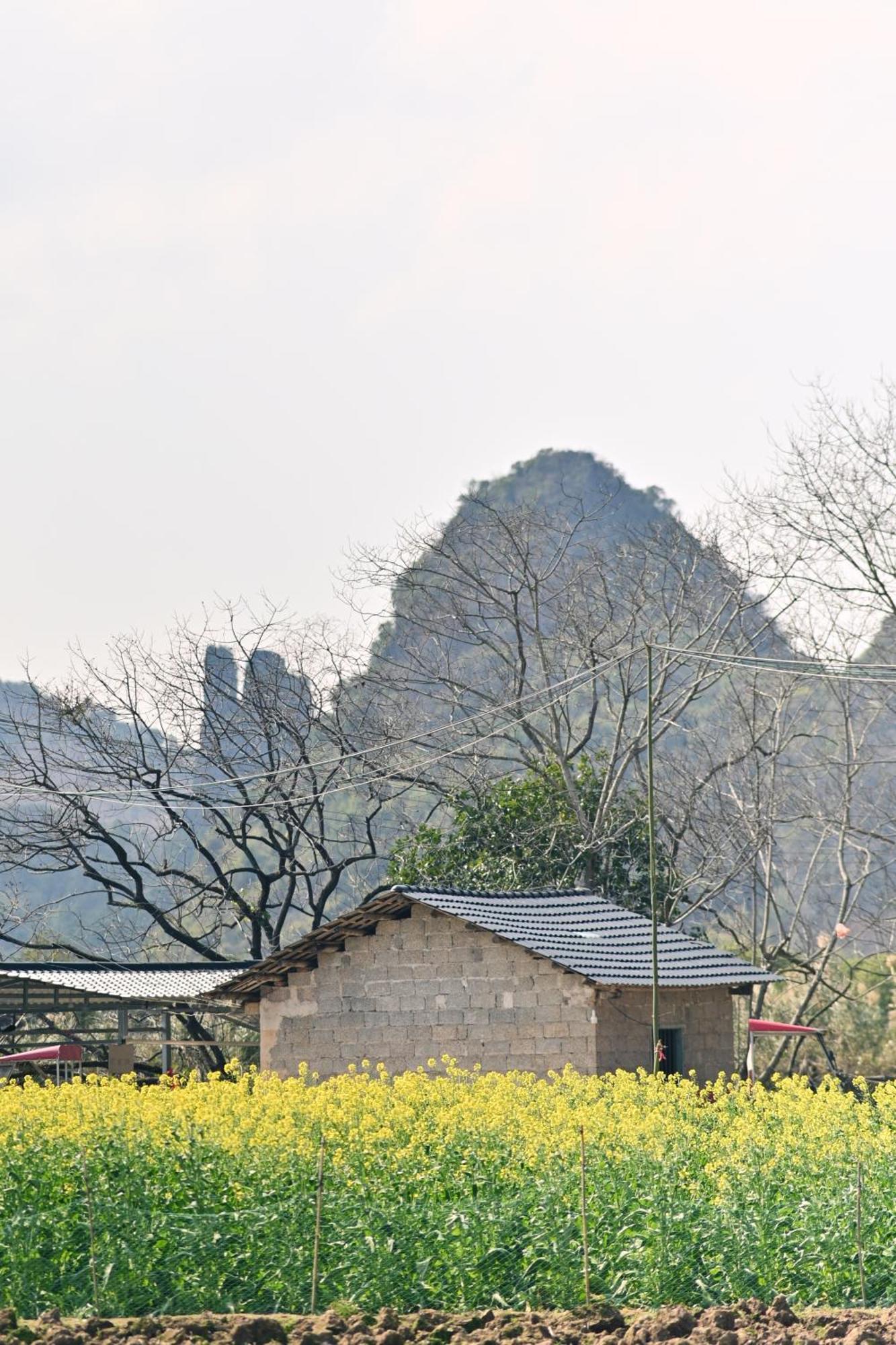 Yangshuo Hillside Homestay Екстер'єр фото